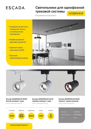 Escada 20035TRA/01 BK/RGD