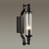 Odeon Light 4941/1W