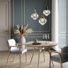 Odeon Light 4950/1