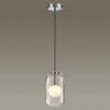 Odeon Light 4953/1