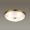 Odeon Light 4956/5