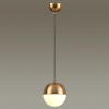 Odeon Light 4960/1