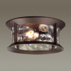 Odeon Light 4961/2C