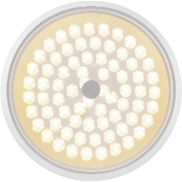 Потолочный светильник Freya Cells FR10012CL-L24W