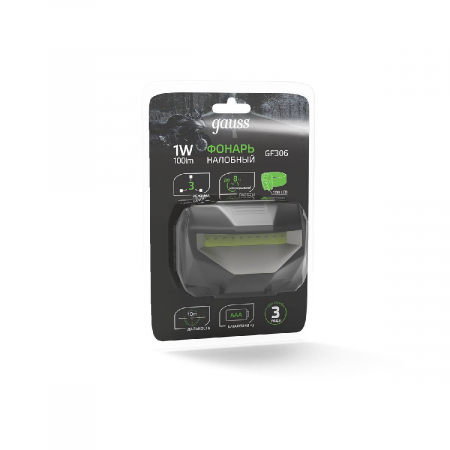 GAUSS GF306