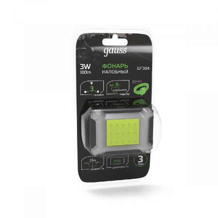 GAUSS GF304