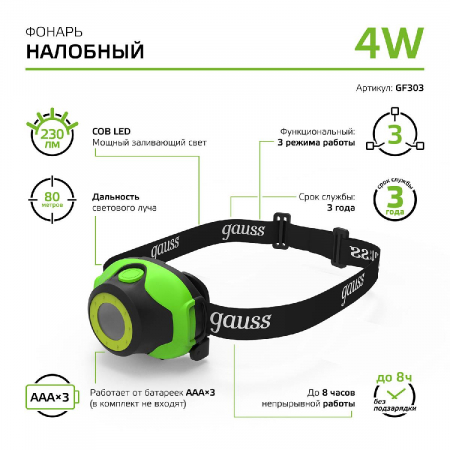 GAUSS GF303