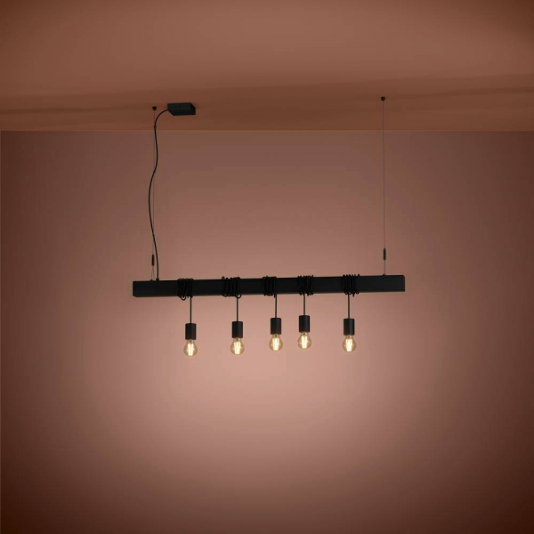 Подвесная люстра Eglo Townshend-B 39937