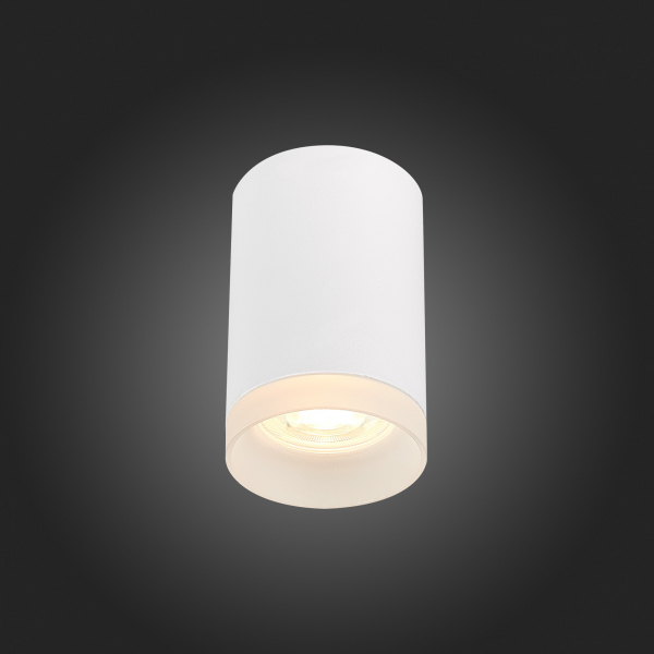 Накладной светильник ST Luce ST100 ST100.502.01