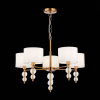 Evoluce SLE105713-05