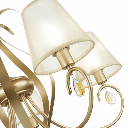 Evoluce SLE111403-05