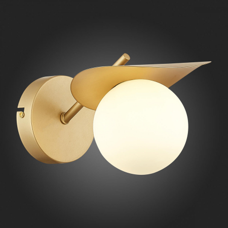 Evoluce SLE220501-01