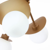 Evoluce SLE220502-05