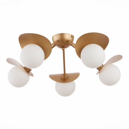 Evoluce SLE220502-05
