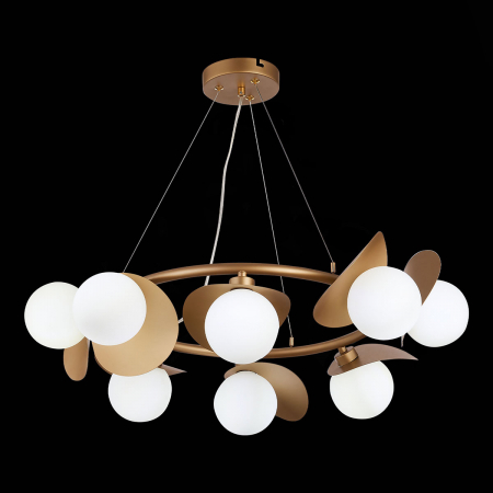 Evoluce SLE220503-08