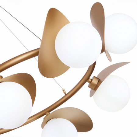 Evoluce SLE220503-08