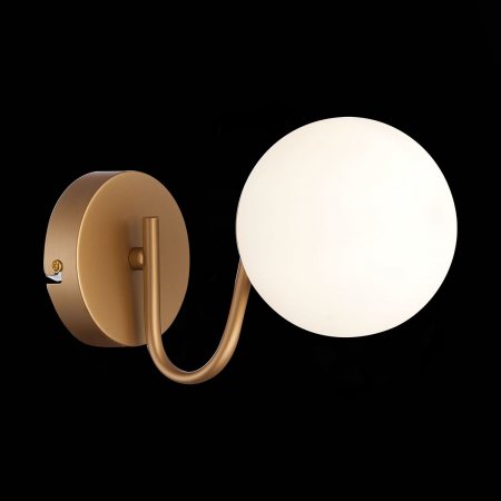 Evoluce SLE220601-01