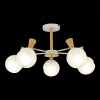 Evoluce SLE220702-05