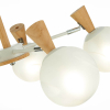 Evoluce SLE220702-05