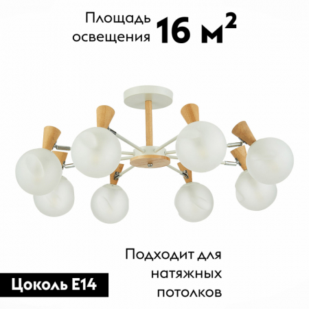 Evoluce SLE220702-08