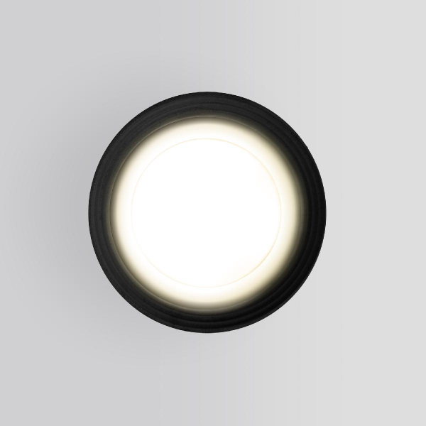 Уличный потолочный светильник Elektrostandard Light 4690389175916