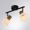 Arte Lamp A3117PL-2BK