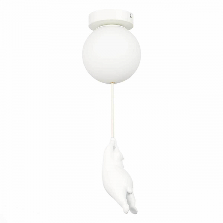 Evoluce SLE115402-01