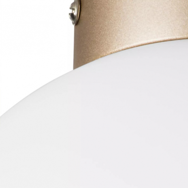 Потолочный светильник Lightstar Globo 812023