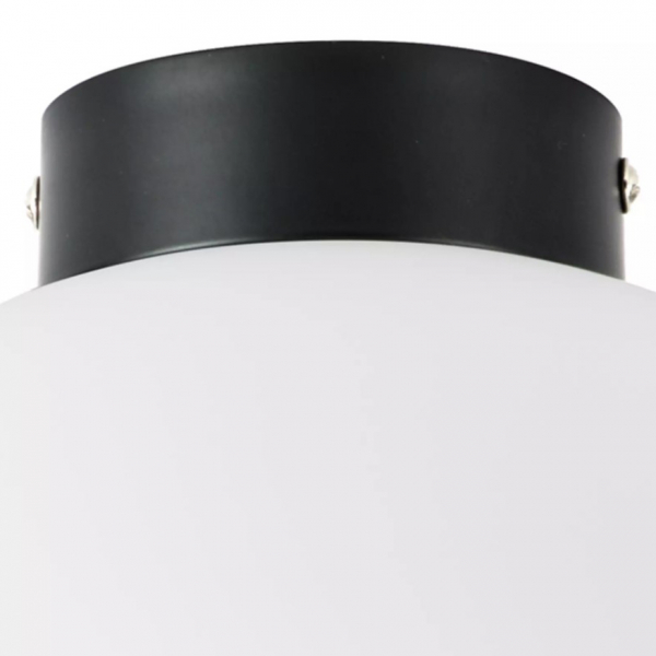 Потолочный светильник Lightstar Globo 812037