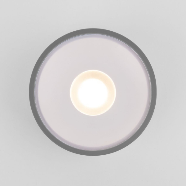 Уличный потолочный светильник Elektrostandard Light LED 4690389180149