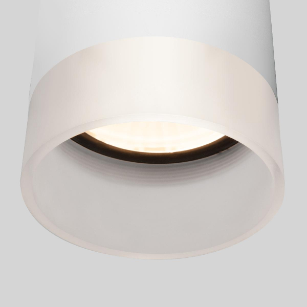 Уличный потолочный светильник Elektrostandard Light LED 4690389177958