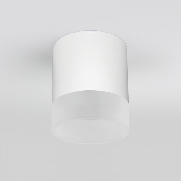 Уличный потолочный светильник Elektrostandard Light LED 4690389177958