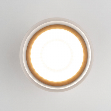 Elektrostandard 4690389177941