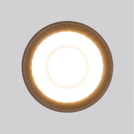 Elektrostandard 4690389176975