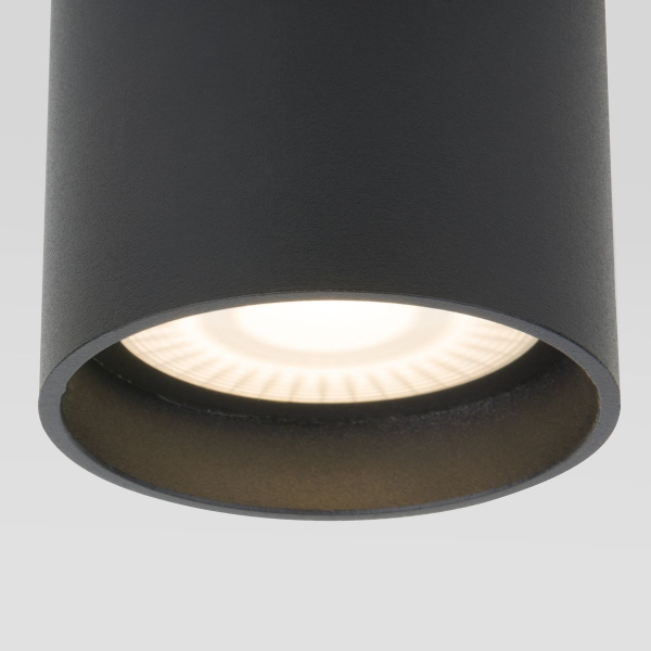 Уличный потолочный светильник Elektrostandard Light LED 4690389176968