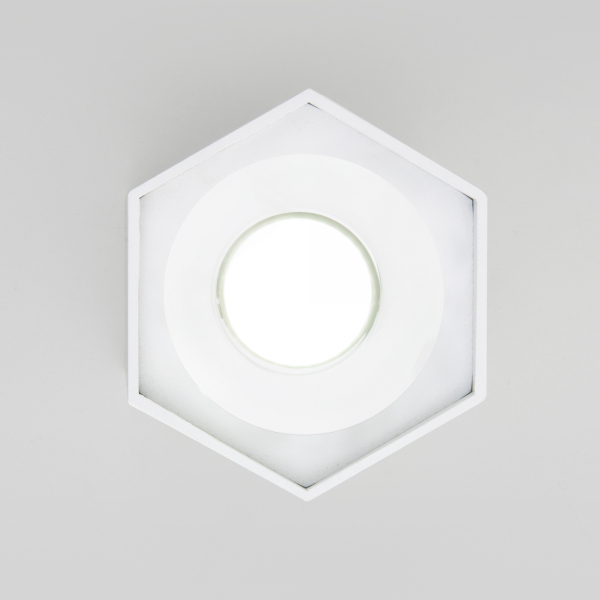 Накладной светодиодный светильник Elektrostandard 25037/LED 4690389176500