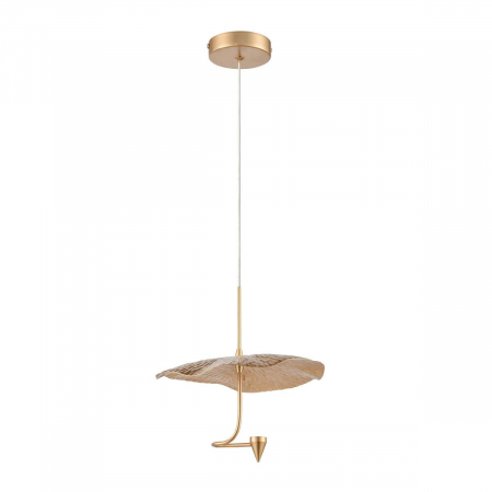 Vele Luce VL5734P31