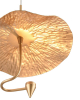 Vele Luce VL5734P31