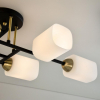 Citilux CL130265