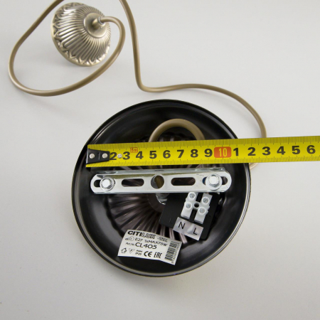 Citilux CL405113