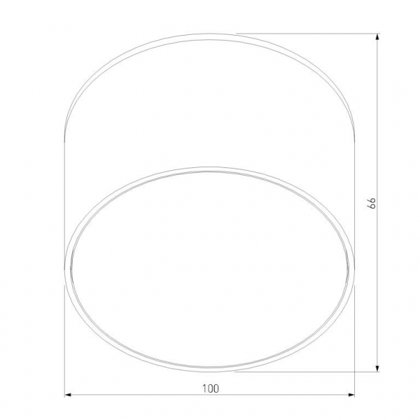 Уличный потолочный светильник Elektrostandard Light 4690389180835