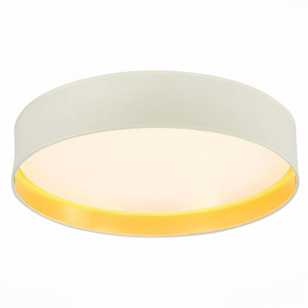 Evoluce SLE300552-01
