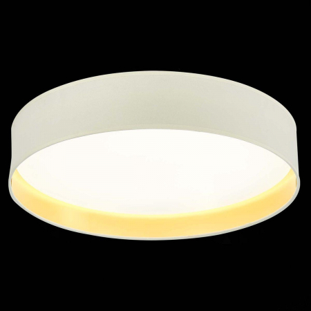 Evoluce SLE300552-01