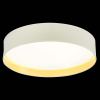 Evoluce SLE300552-01