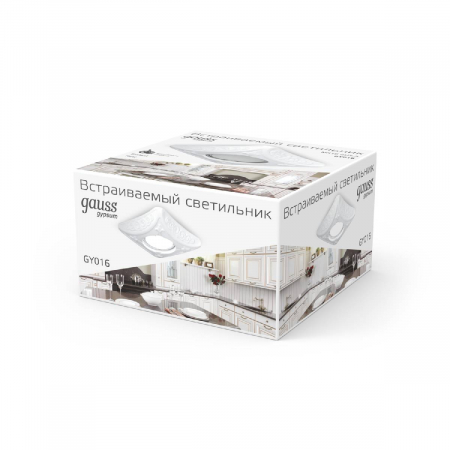 GAUSS GY016