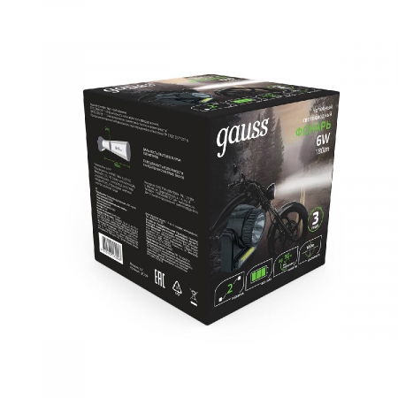 GAUSS GF309