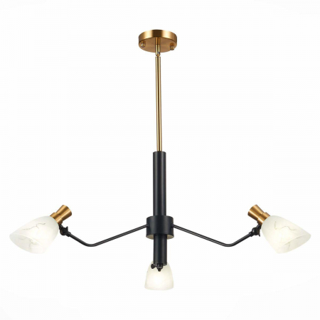 Evoluce SLE205403-03