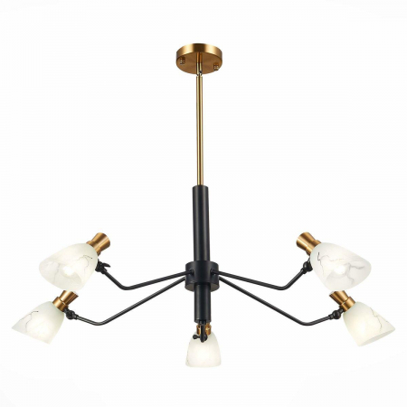 Evoluce SLE205403-05