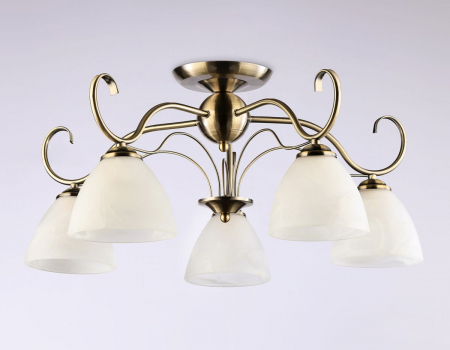 Ambrella Light TR3046