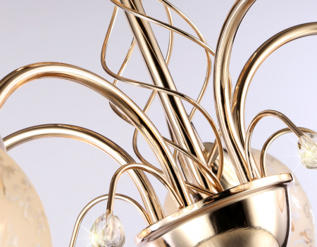 Ambrella Light TR3189